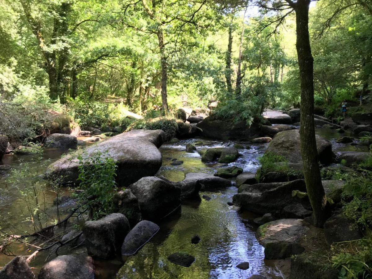 Appartement De Charme, Les Pieds Dans L'eau *