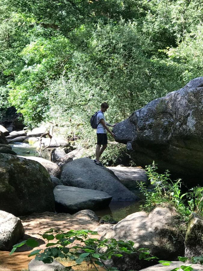 De Charme, Les Pieds Dans L'eau